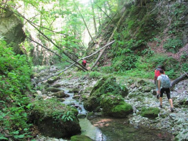 20120630 Kiskoh-Szegyesd nyílt túra 038